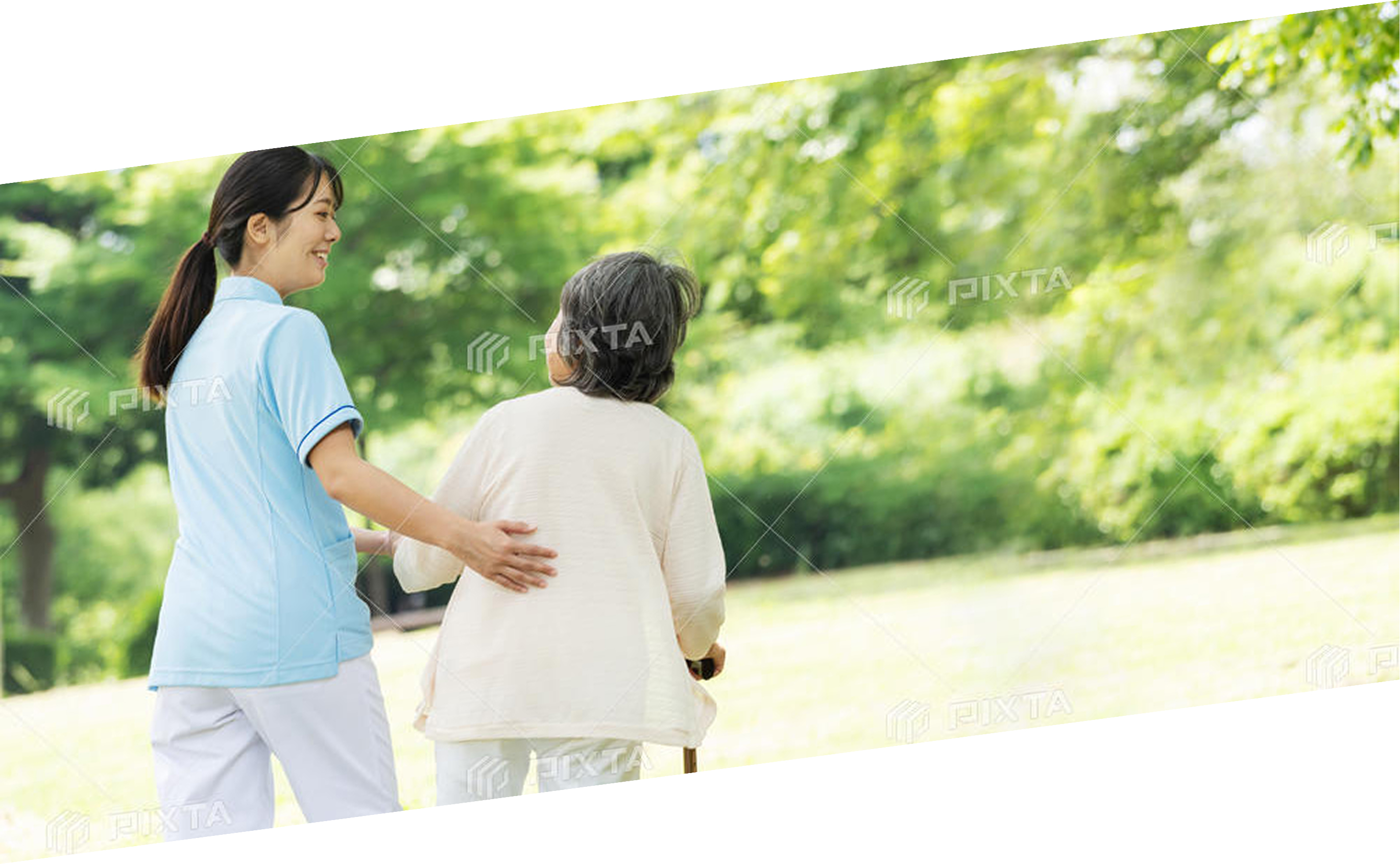 公園を歩く高齢者と介護士の後ろ姿