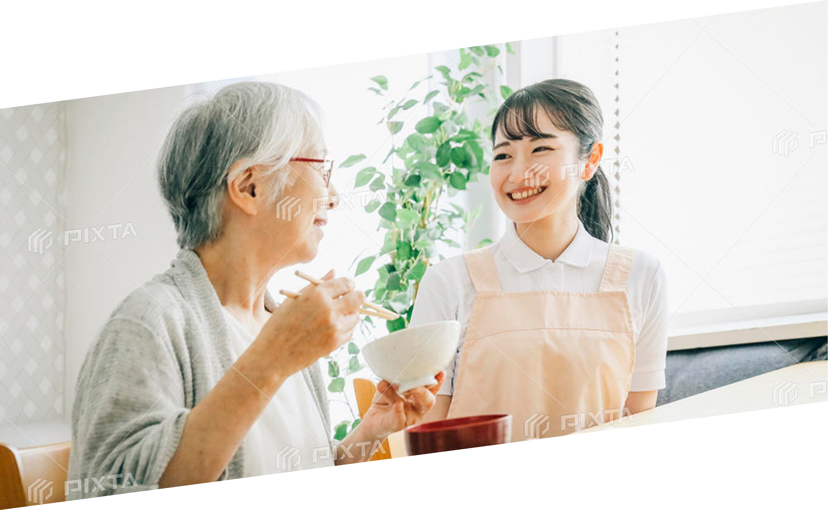 公園を歩く高齢者と介護士の後ろ姿